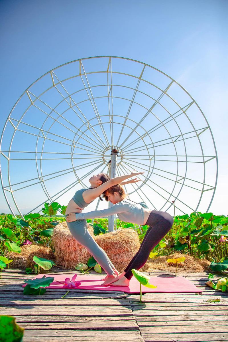Yoga Ninh Hải