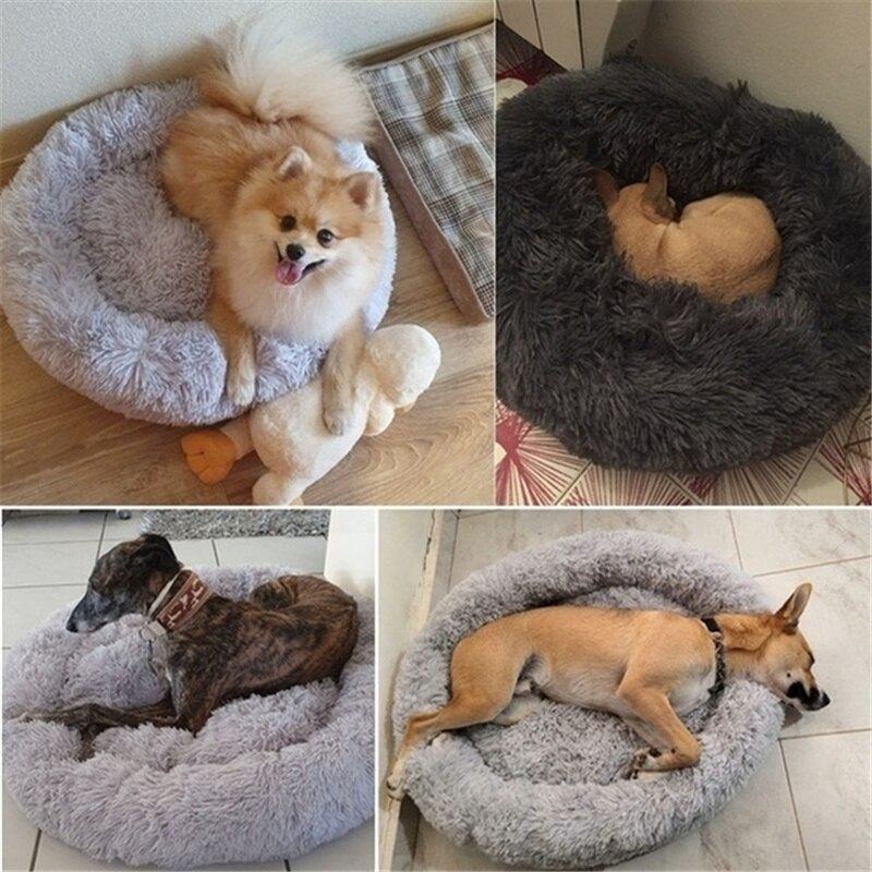 Túi giỏ để vận chuyển