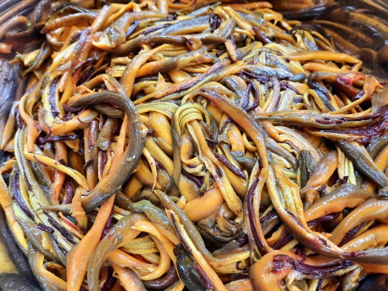 Zuyên Lươn Xứ Nghệ
